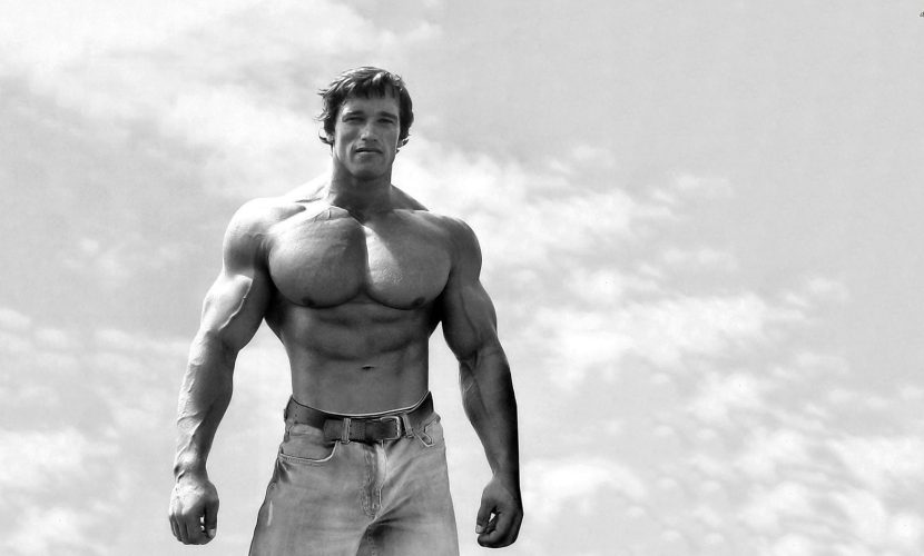 arnold-schwarzenegger_05efbcb572ab9c946f222f3353479a2a7eaeebb6 arnold-schwarzenegger_05efbcb572ab9c946f222f3353479a2a7eaeebb6